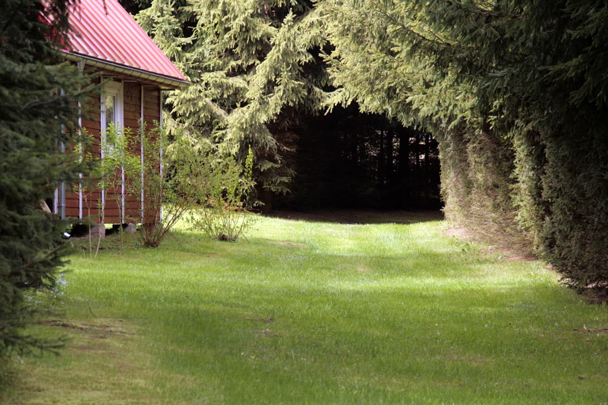 Wjazd do domku leśnym tunelikiem