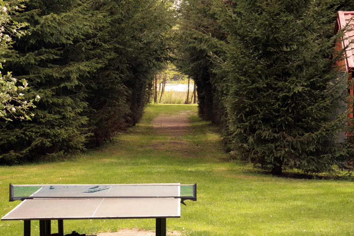 Alejka leśna - dojście do jeziora