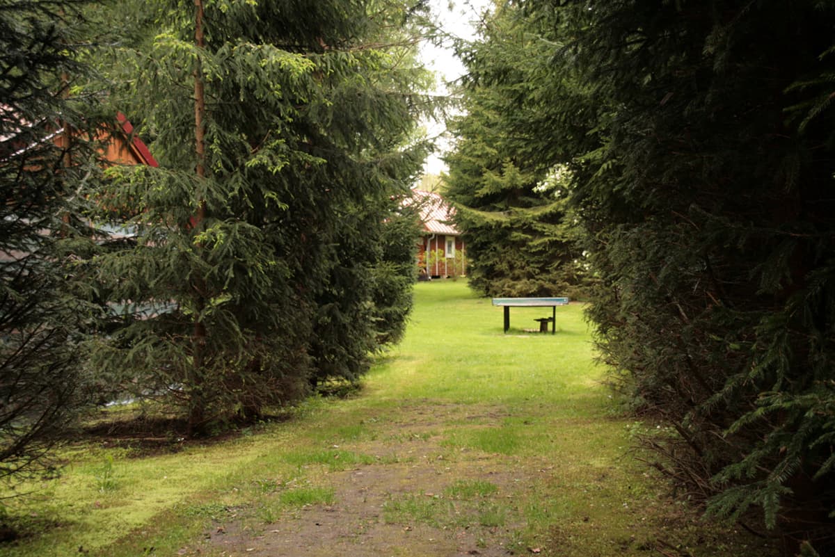 Alejka leśna od jeziora do domku