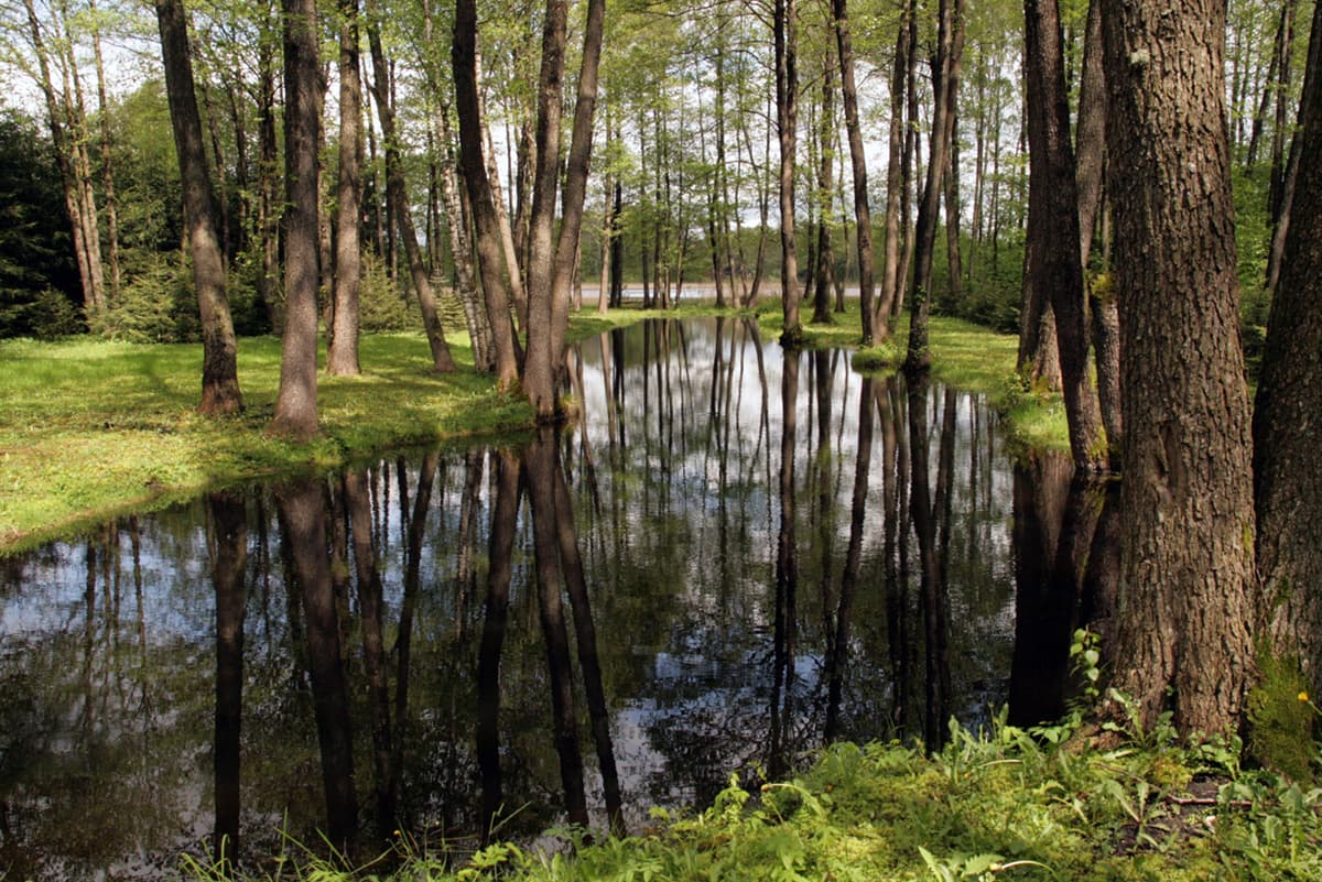 Drugi staw na czwartym tarasie