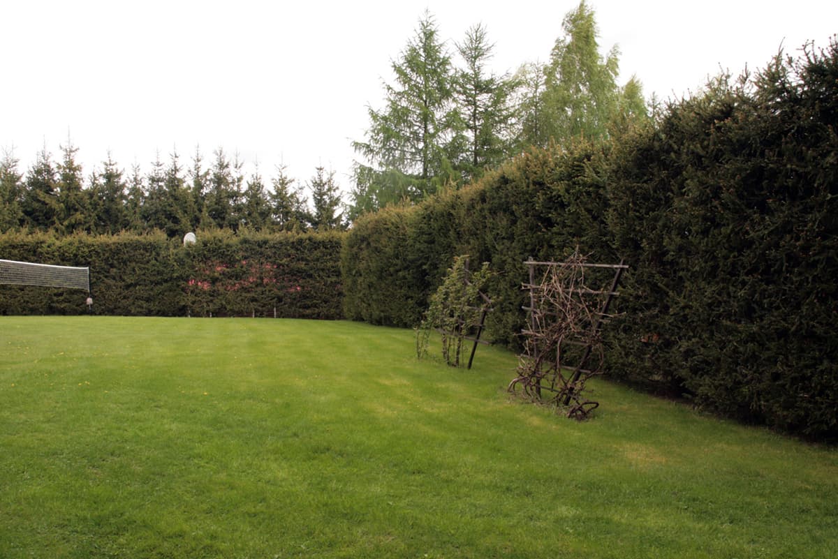 Drugi taras - jeżyny i winogrono