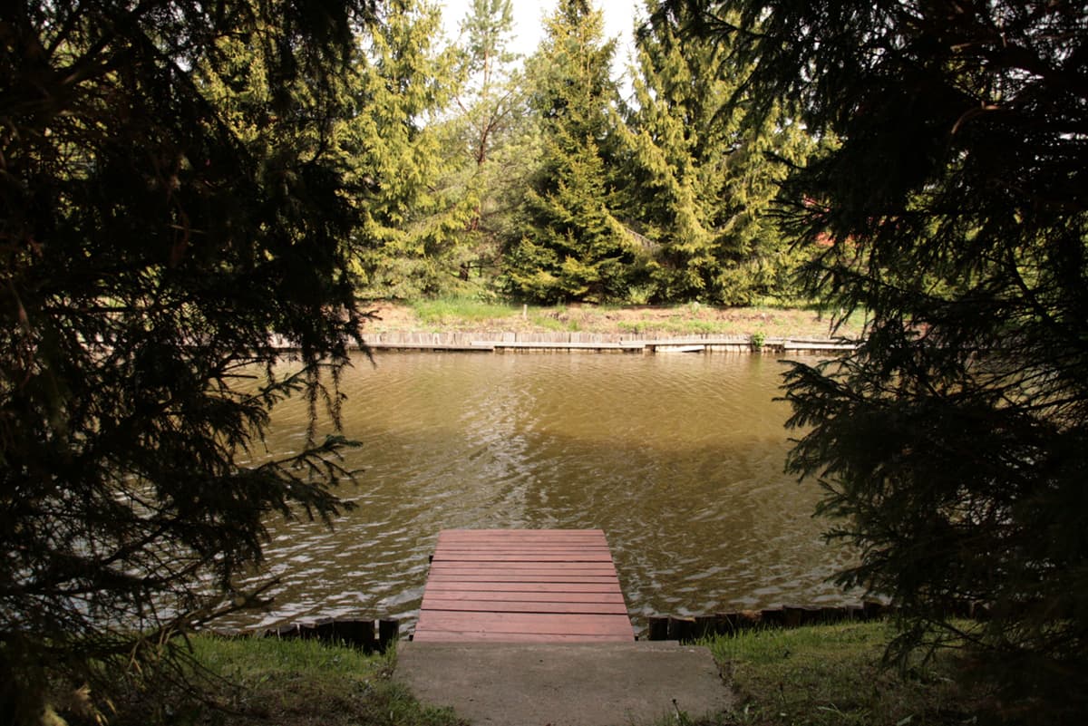 Staw rybny - dojście i pomost