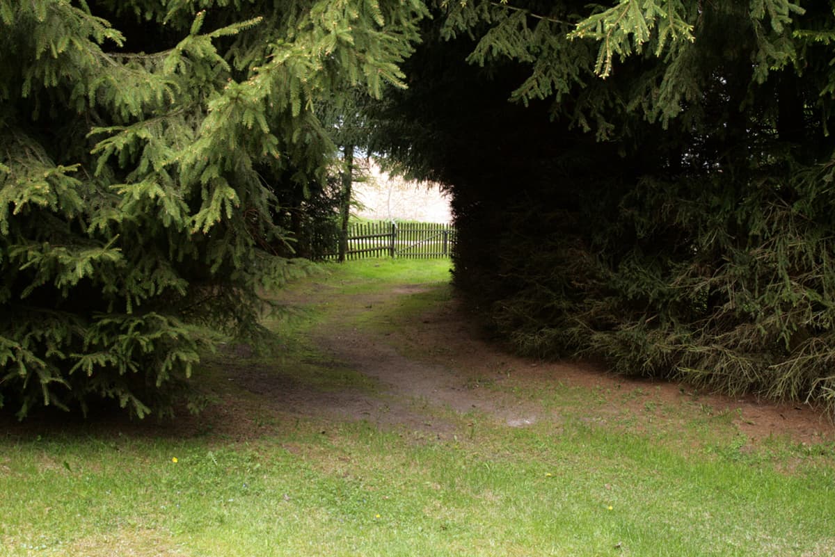 Tunelik dojazdowy do domku nr 1