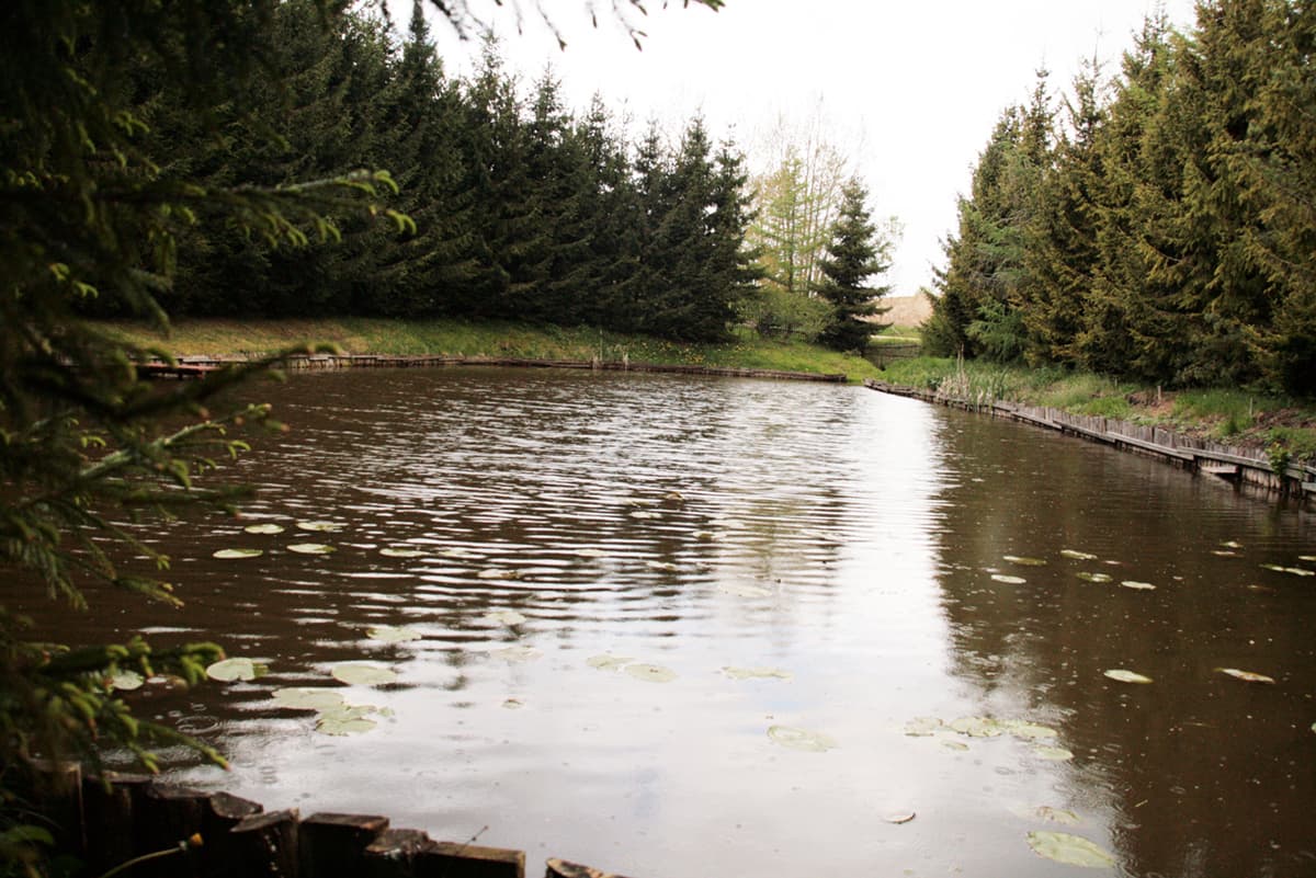 Widok ogólny stawu rybnego